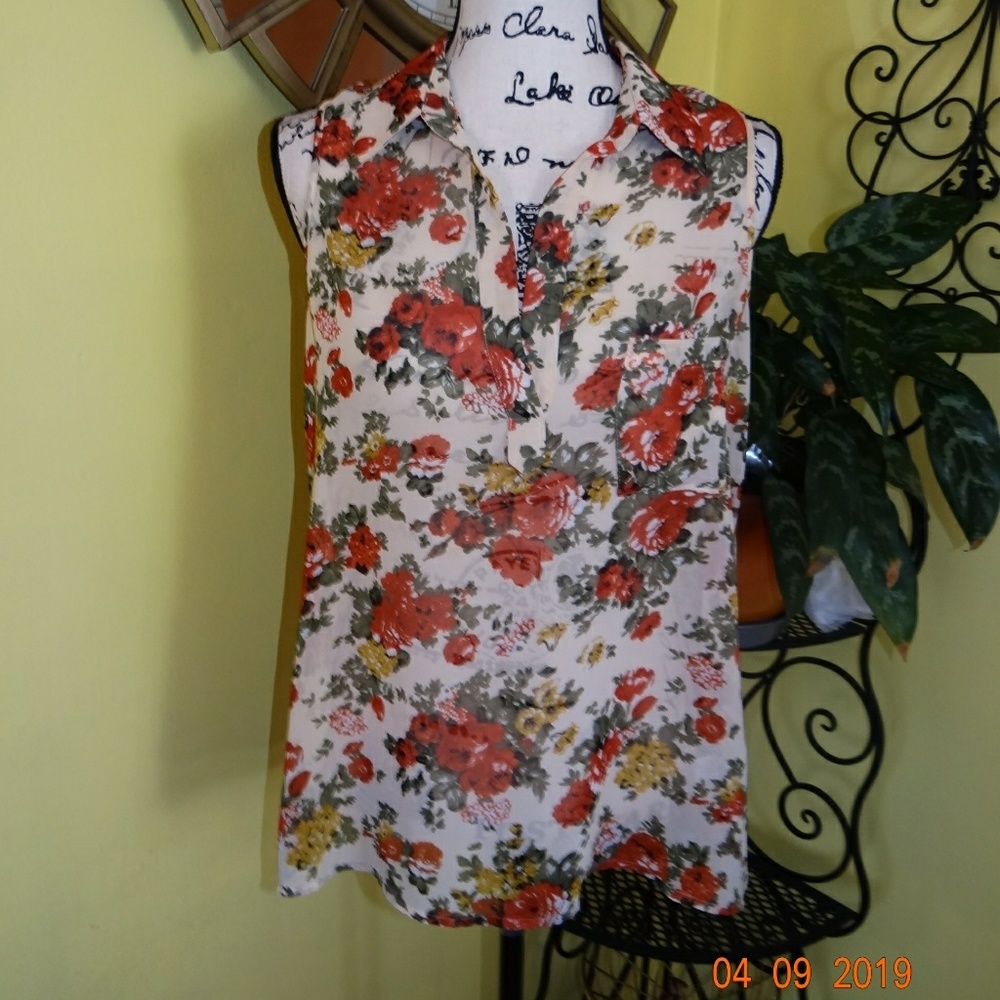 Pleione Ivory Sheer Chiffon Top